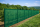 PVC-Gitter 250 gr.